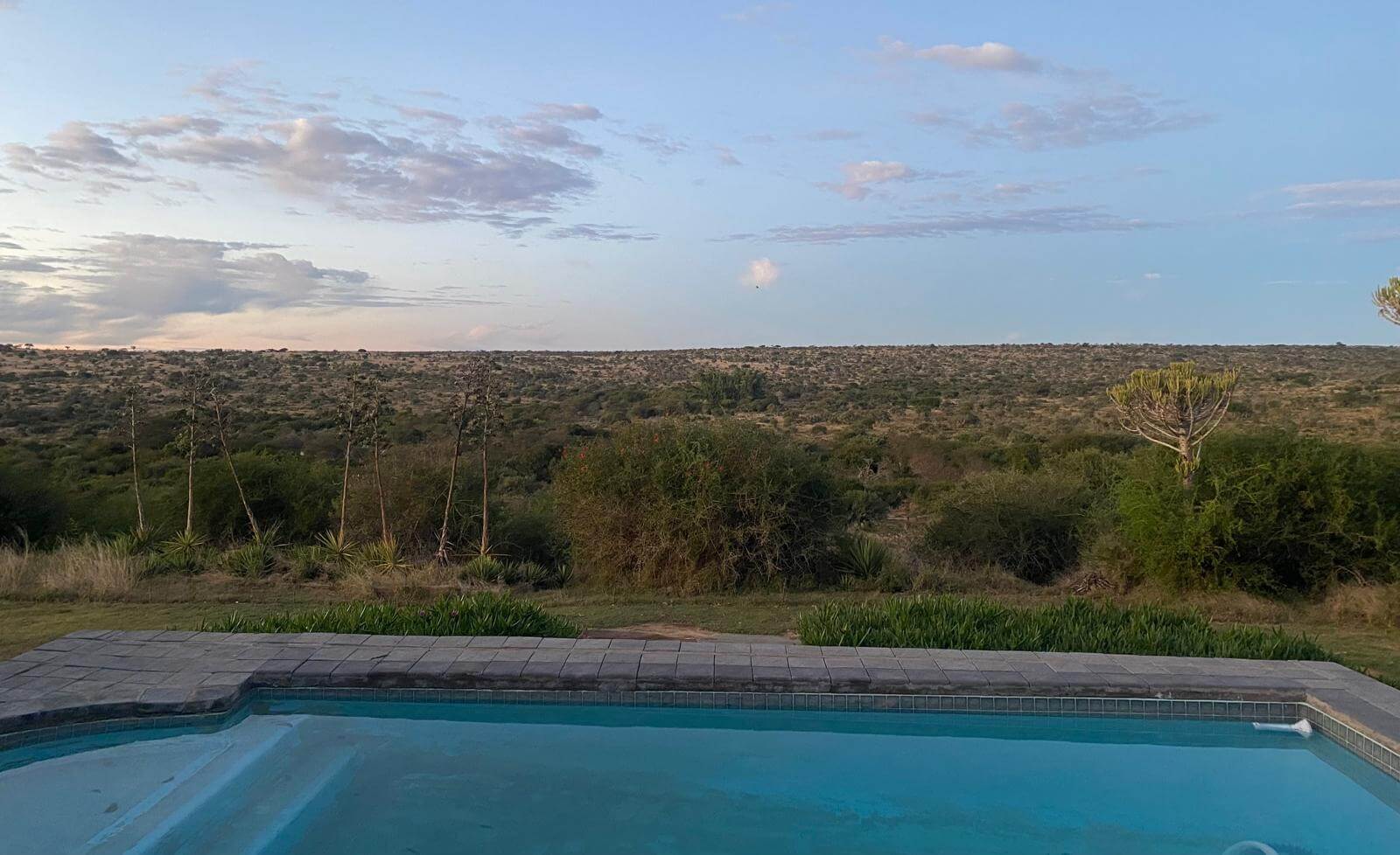 hunting packages Rocklands Safaris