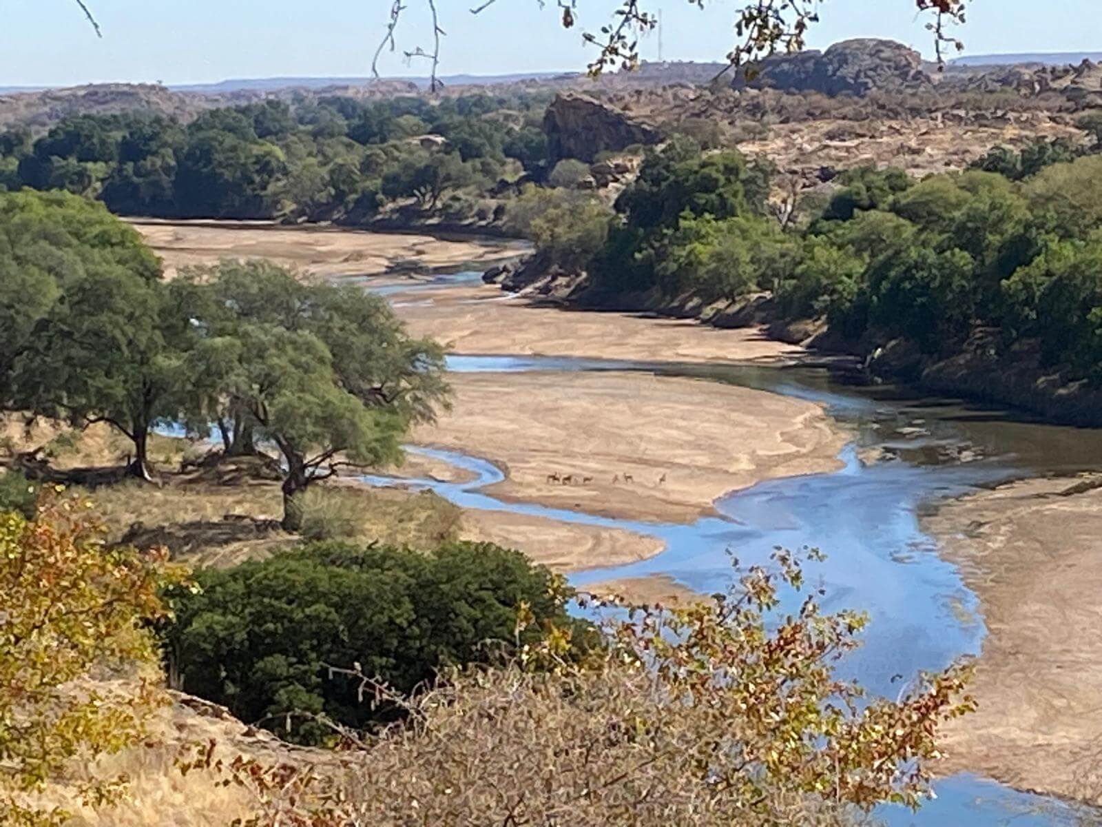 hunting information Rocklands Safaris