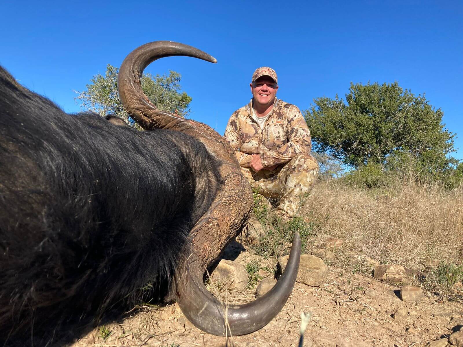 trophy hunting cape buffalo south africa
