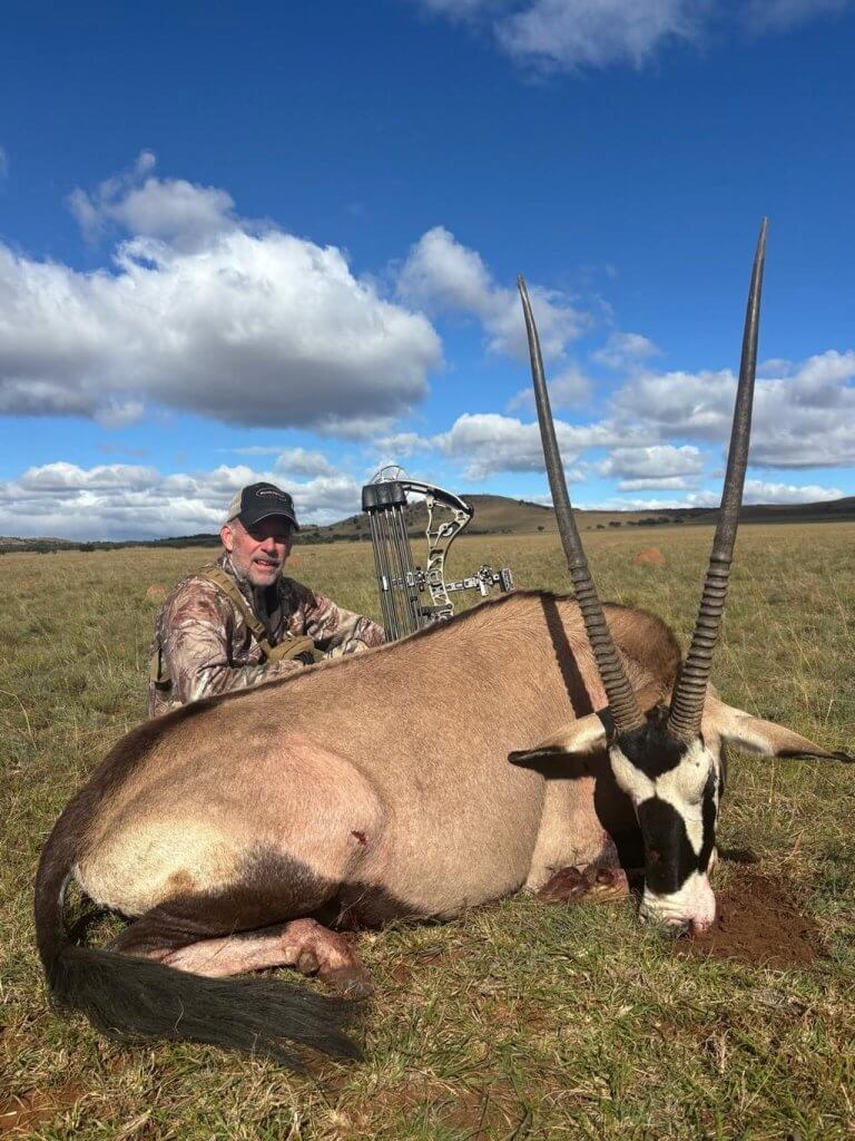 bow hunting gemsbok