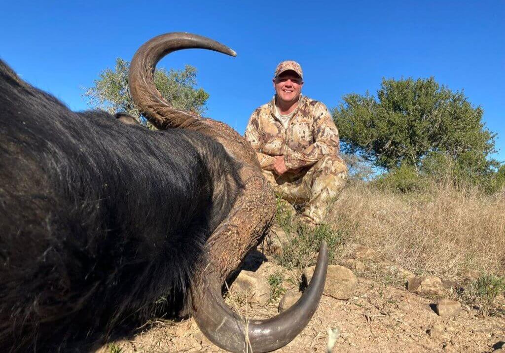 trophy hunting cape buffalo south africa